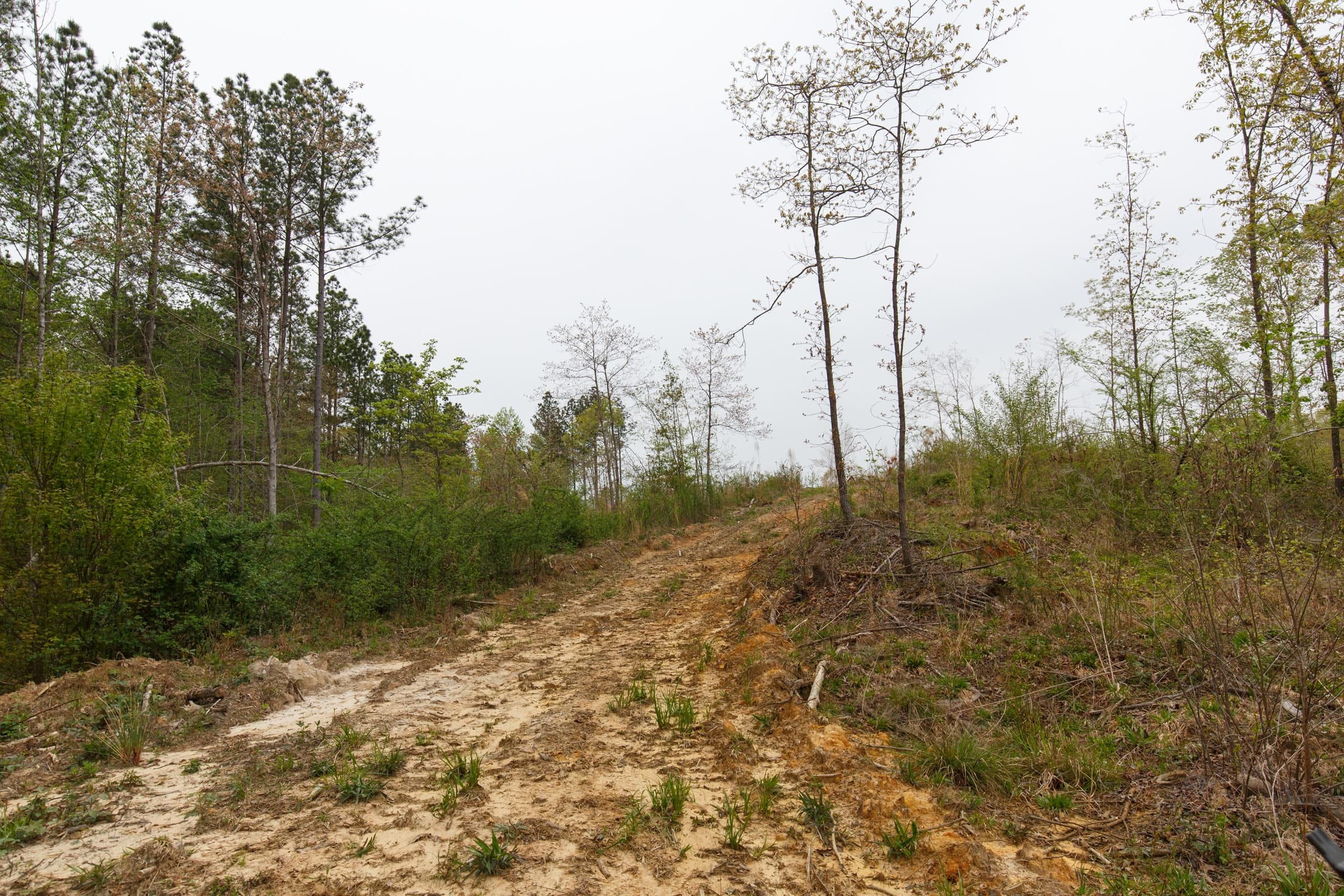 Twin Rivers Tract 34 photo 4