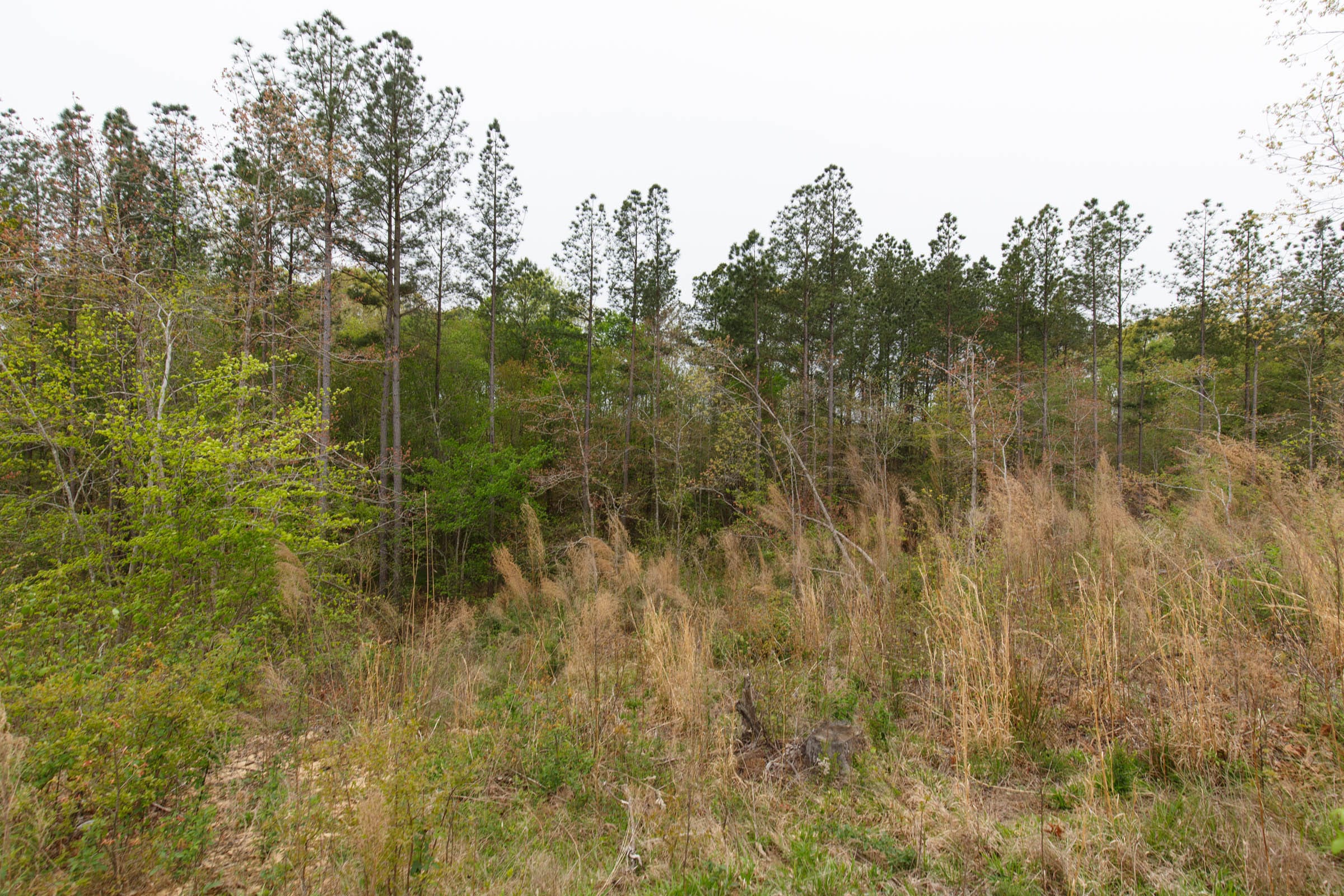Twin Rivers Tract 34 photo 6