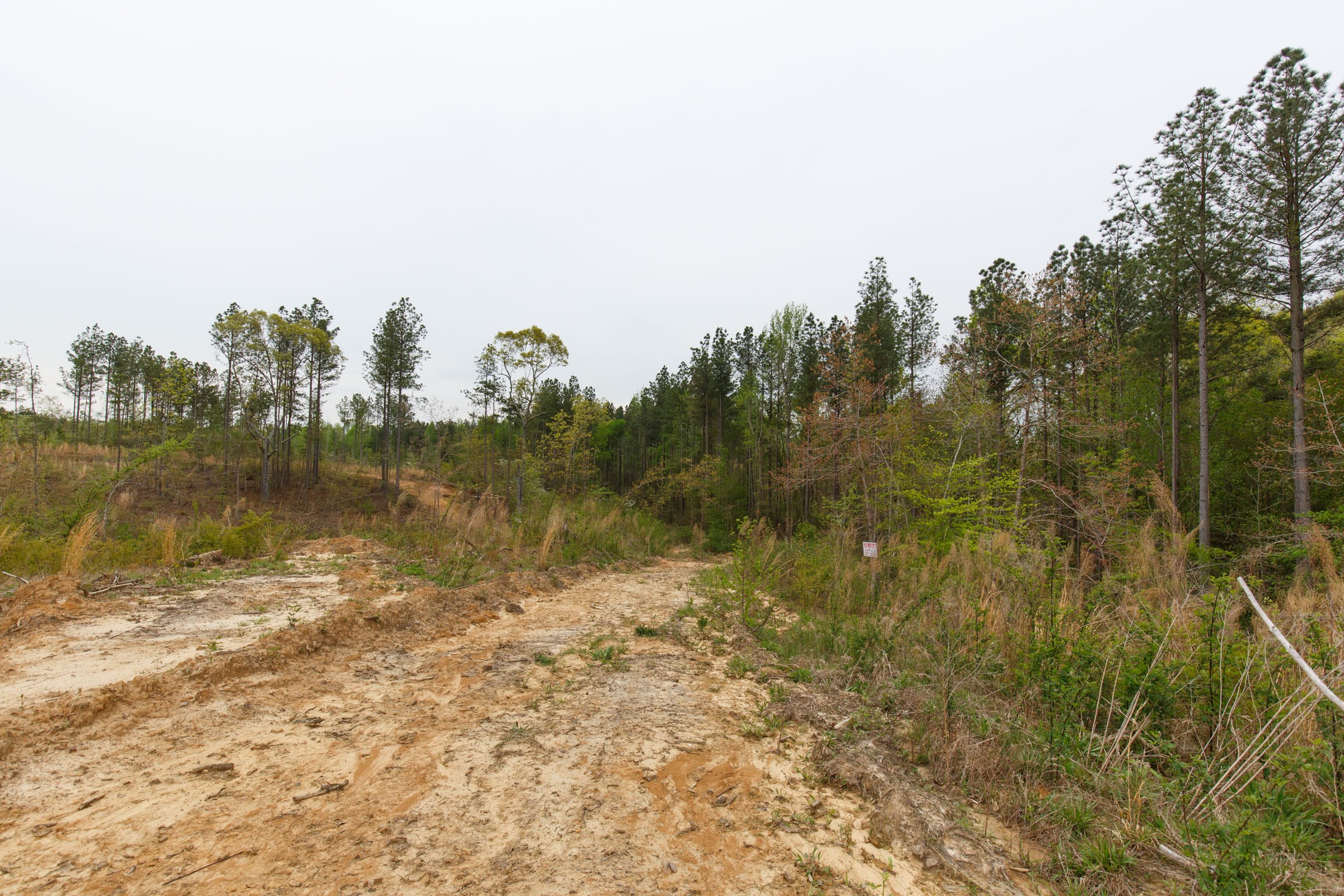 Twin Rivers Tract 34 photo 7