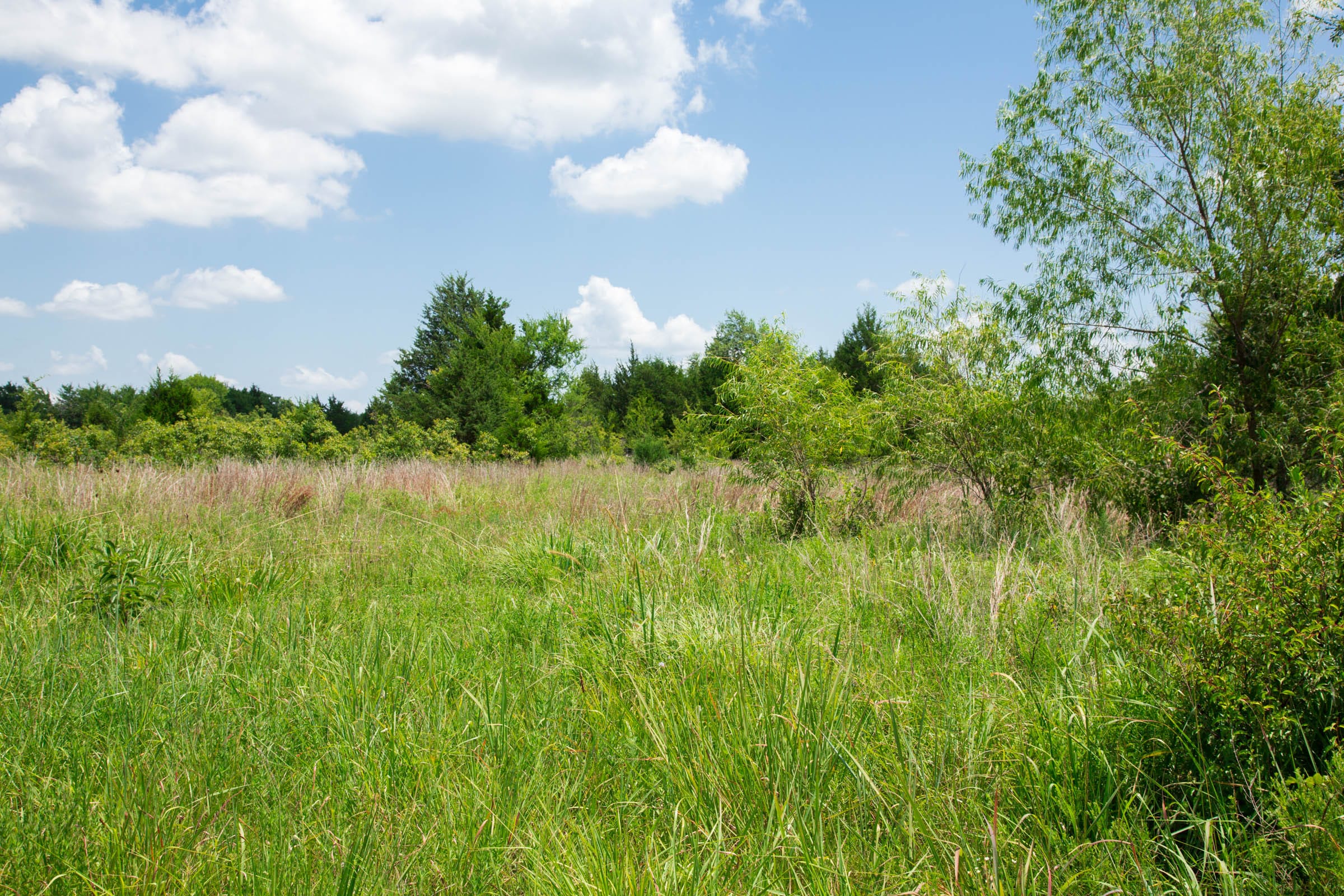 Deep Fork Ranch Tract 10 photo 9