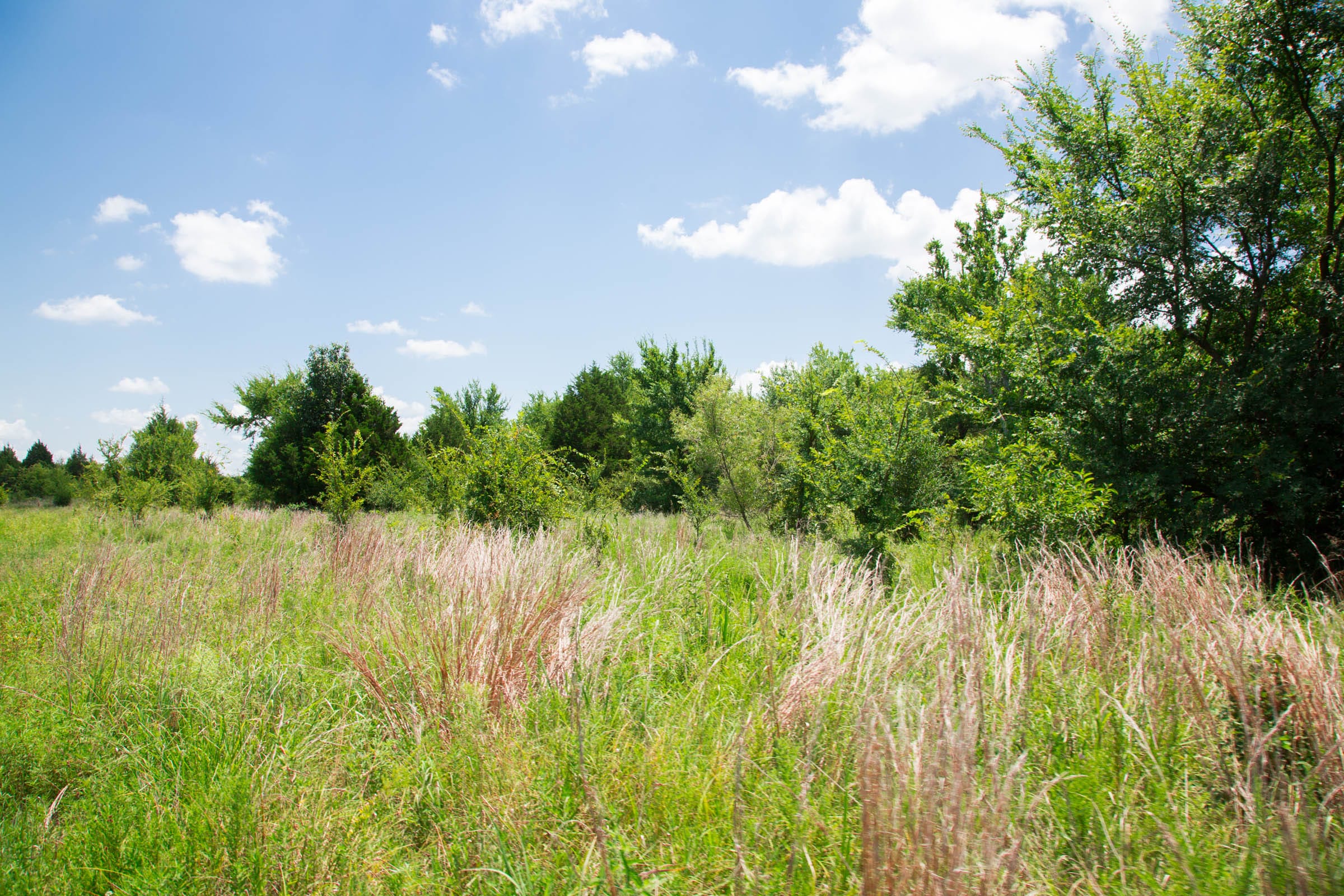 Deep Fork Ranch Tract 10 photo 10
