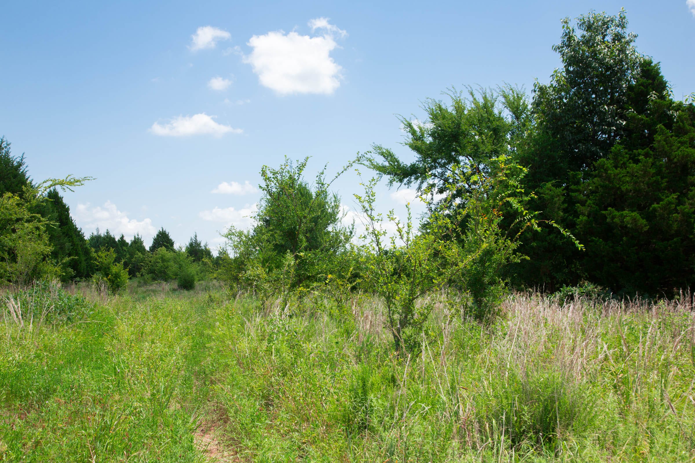 Deep Fork Ranch Tract 10 photo 11
