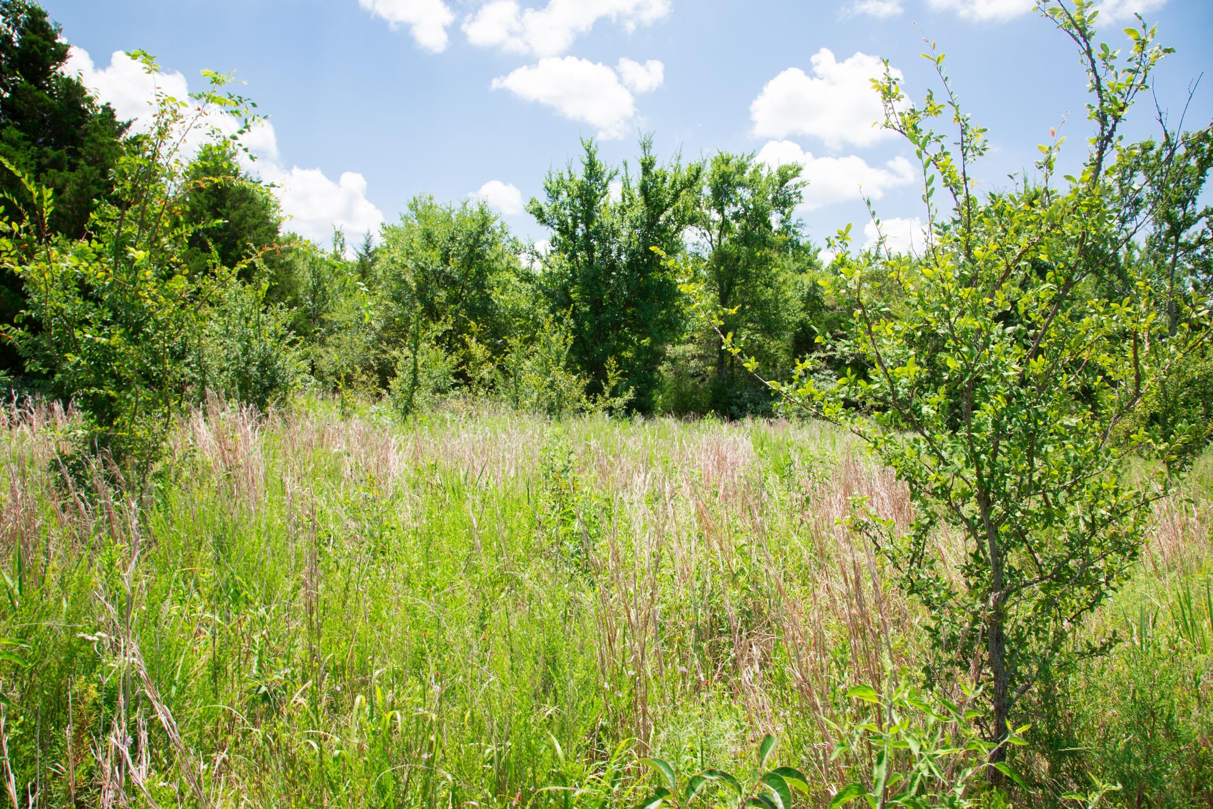 Deep Fork Ranch Tract 10 photo 12