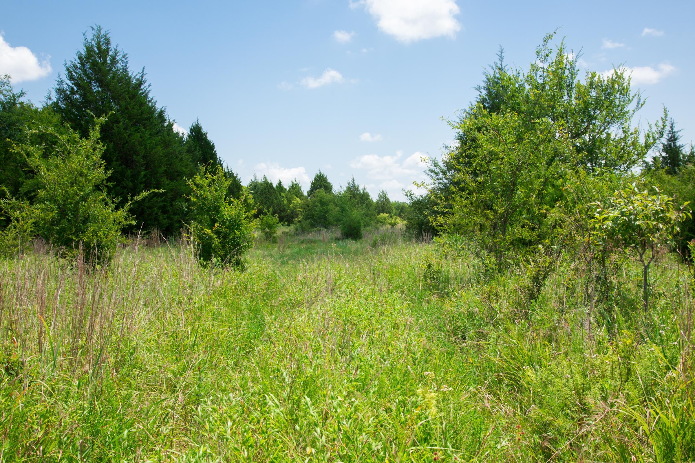Deep Fork Ranch Tract 10 photo 14