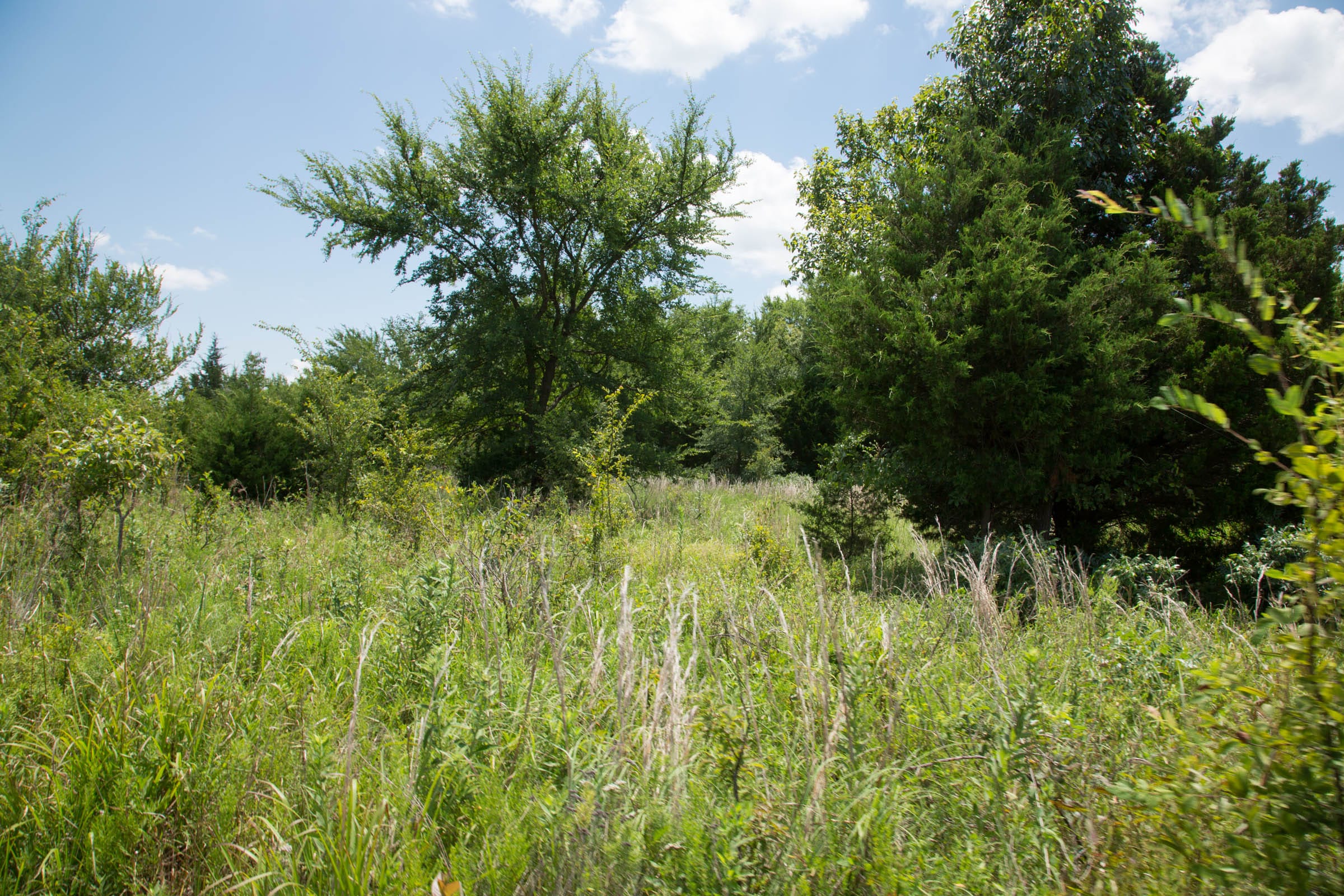 Deep Fork Ranch Tract 10 photo 15
