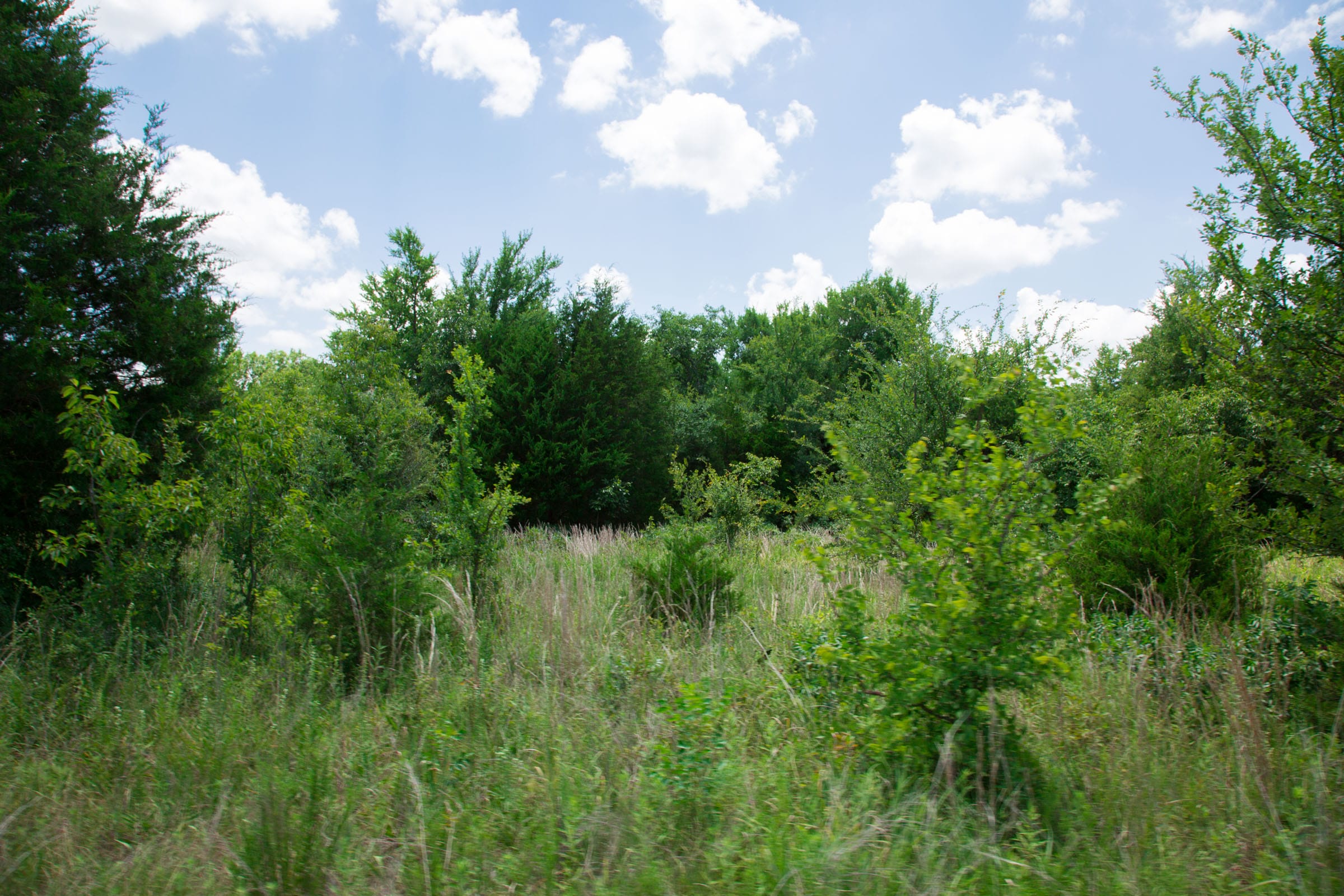 Deep Fork Ranch Tract 10 photo 16