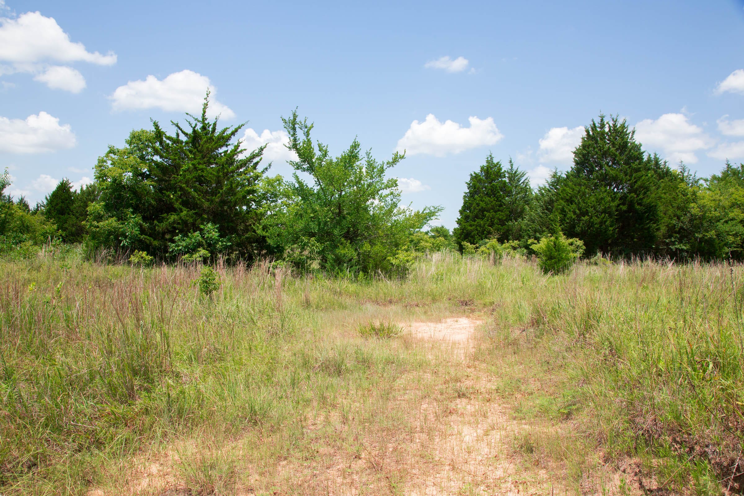 Deep Fork Ranch Tract 10 photo 17