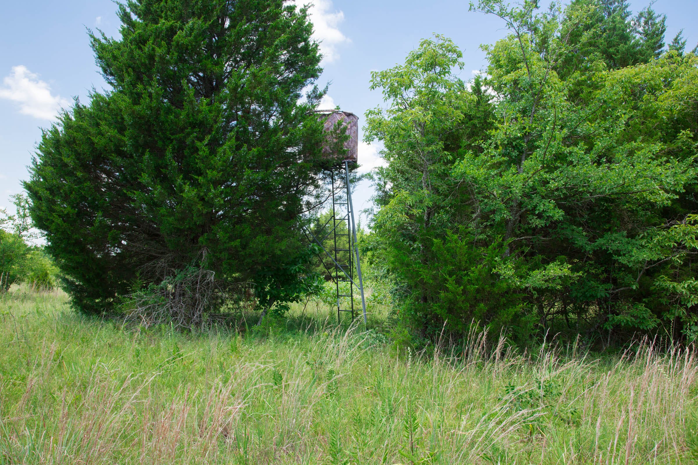 Deep Fork Ranch Tract 10 photo 19