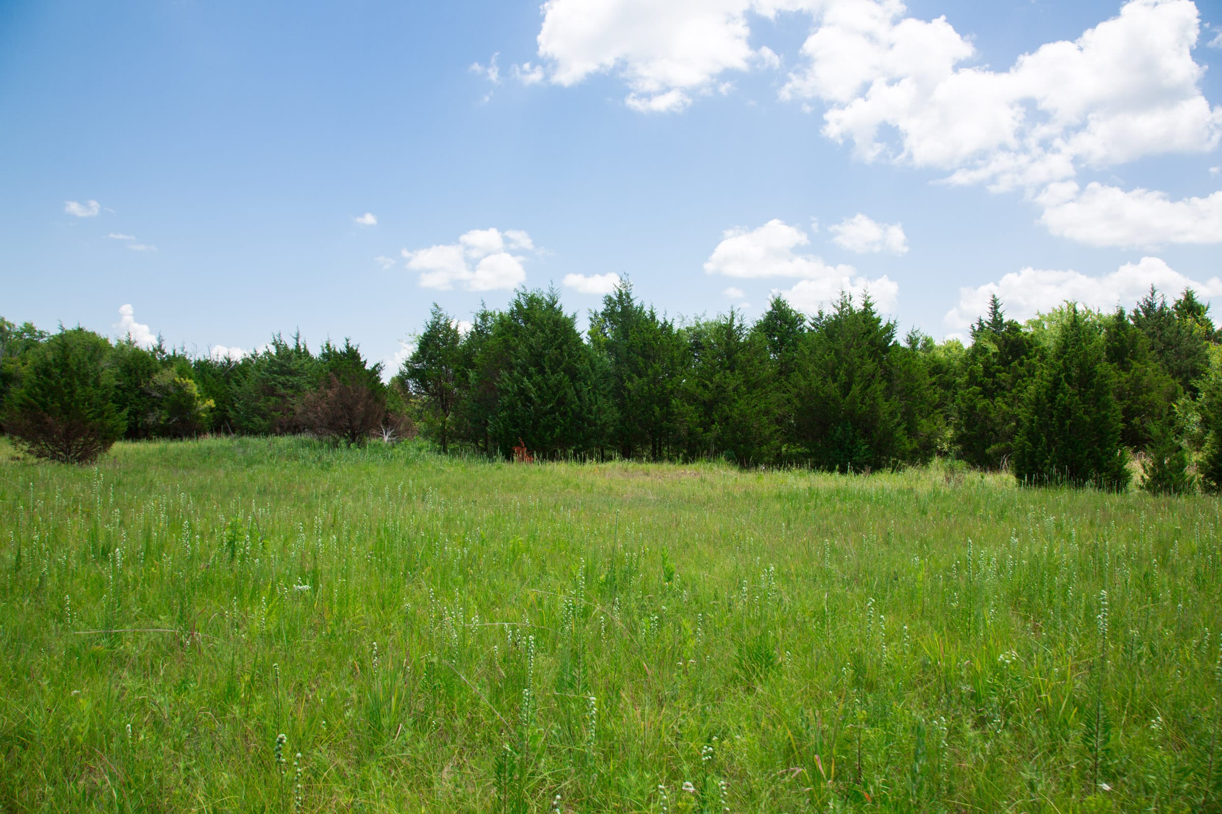 Deep Fork Ranch Tract 10 photo 20