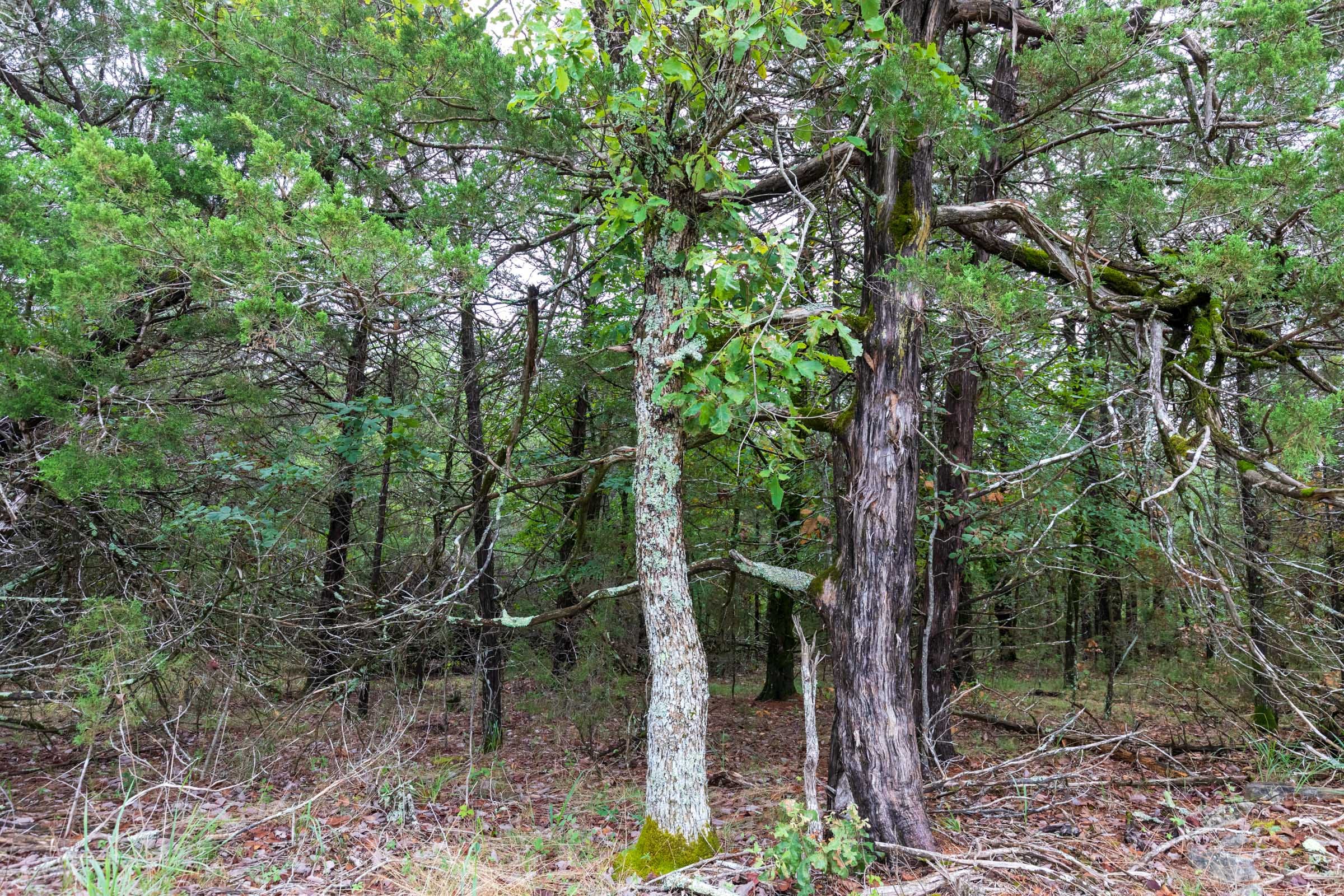 Heritage Bend Tract 3 photo 2