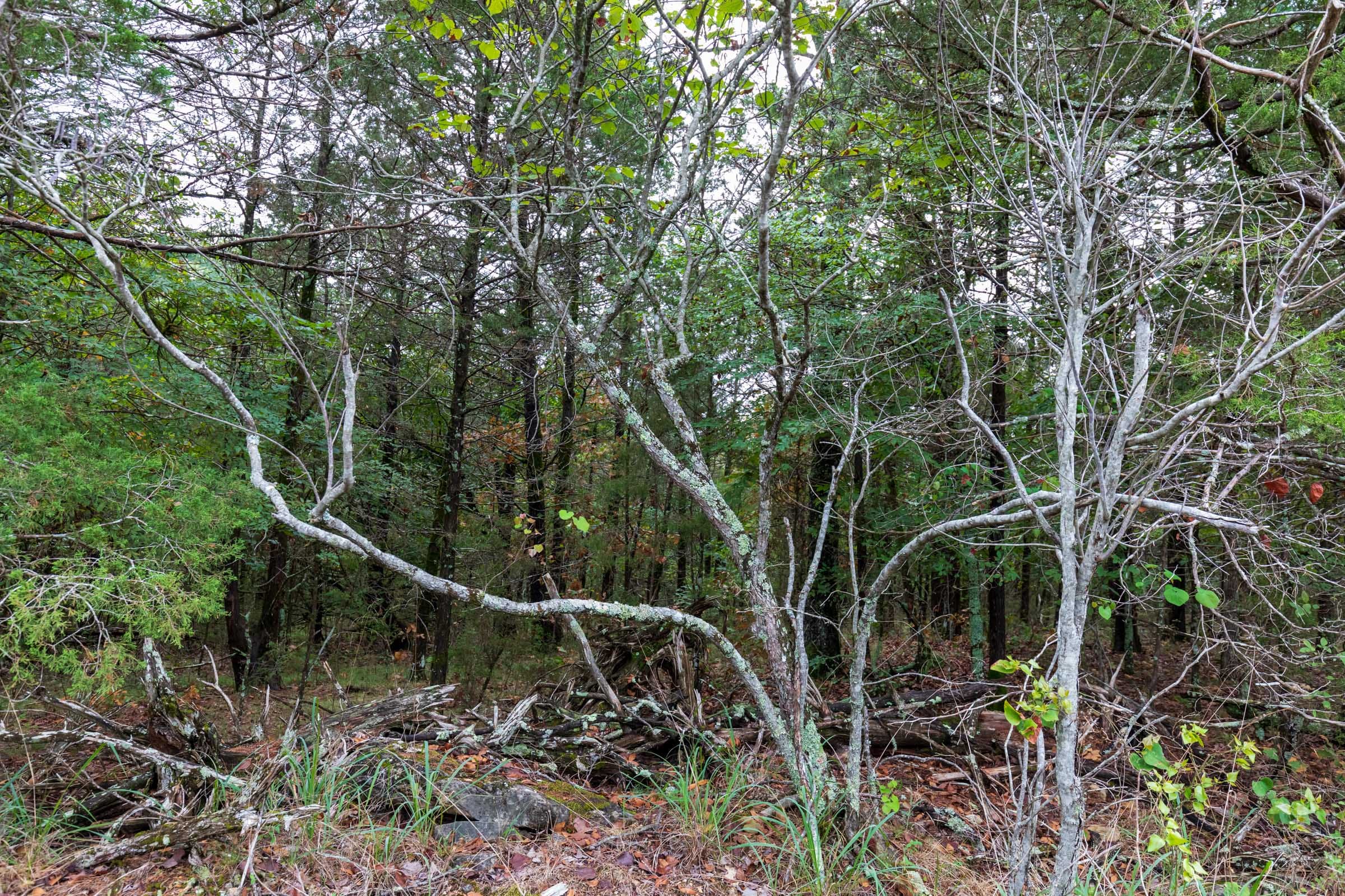 Heritage Bend Tract 3 photo 3