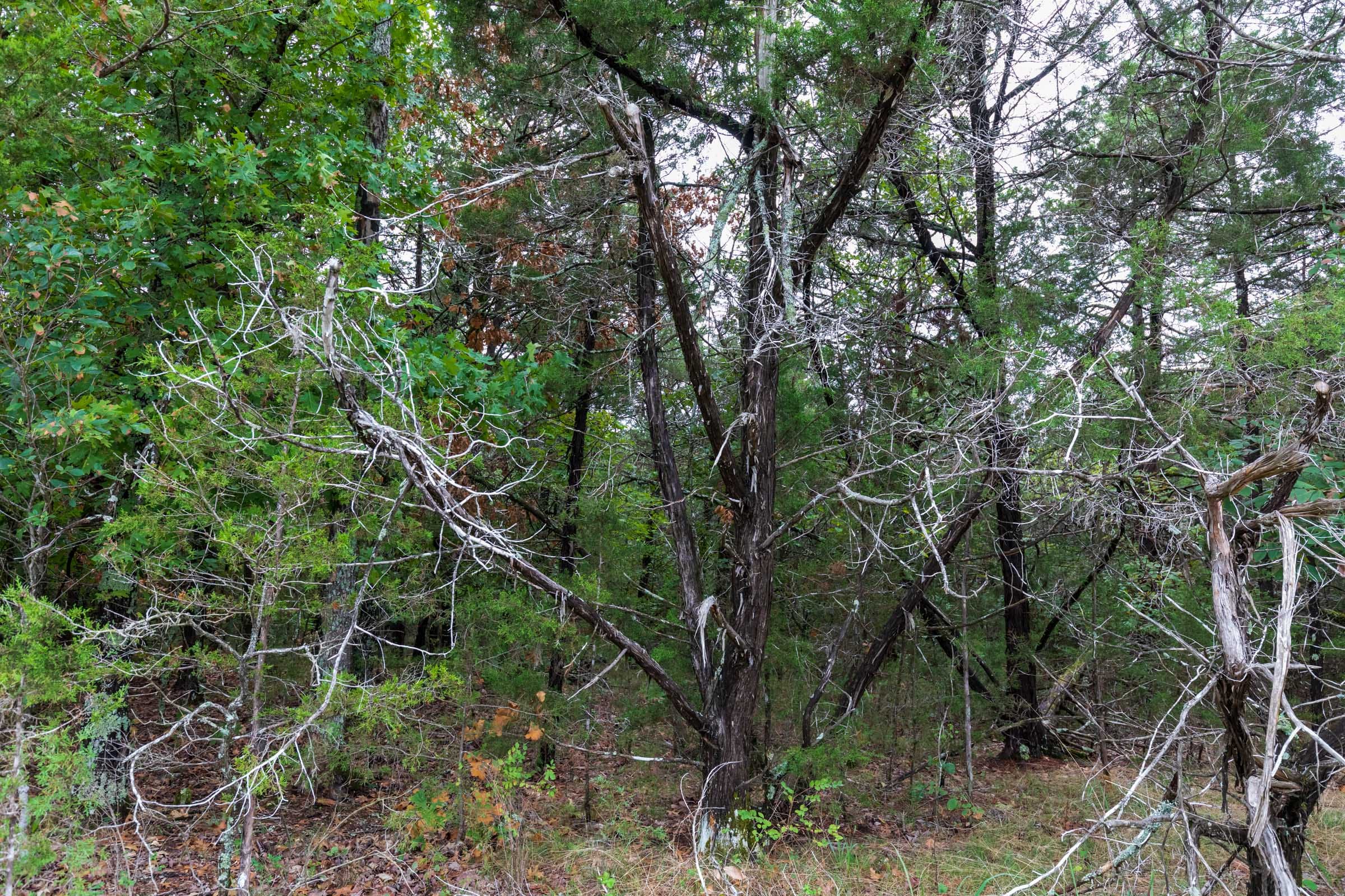 Heritage Bend Tract 3 photo 4