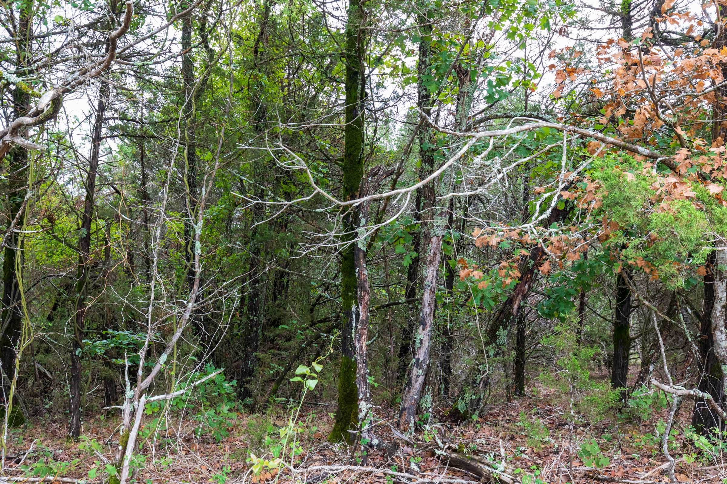 Heritage Bend Tract 3 photo 5