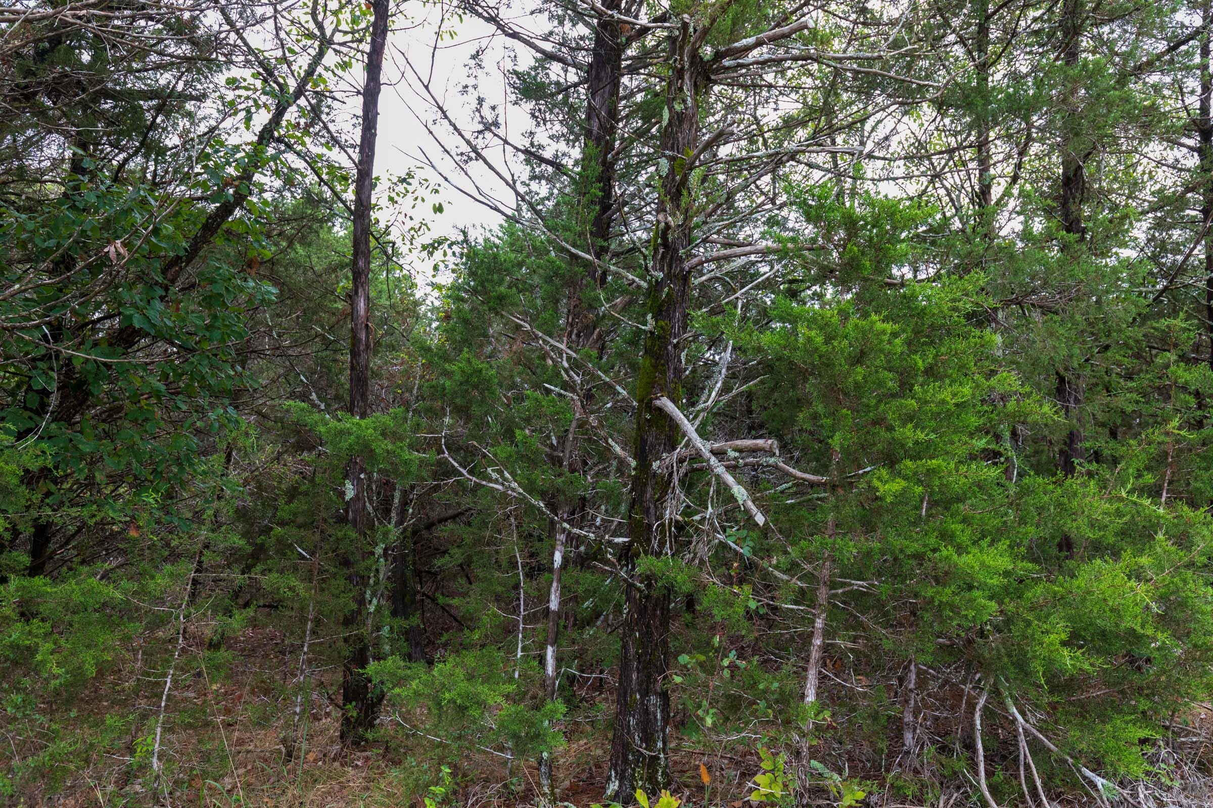 Heritage Bend Tract 3 photo 6