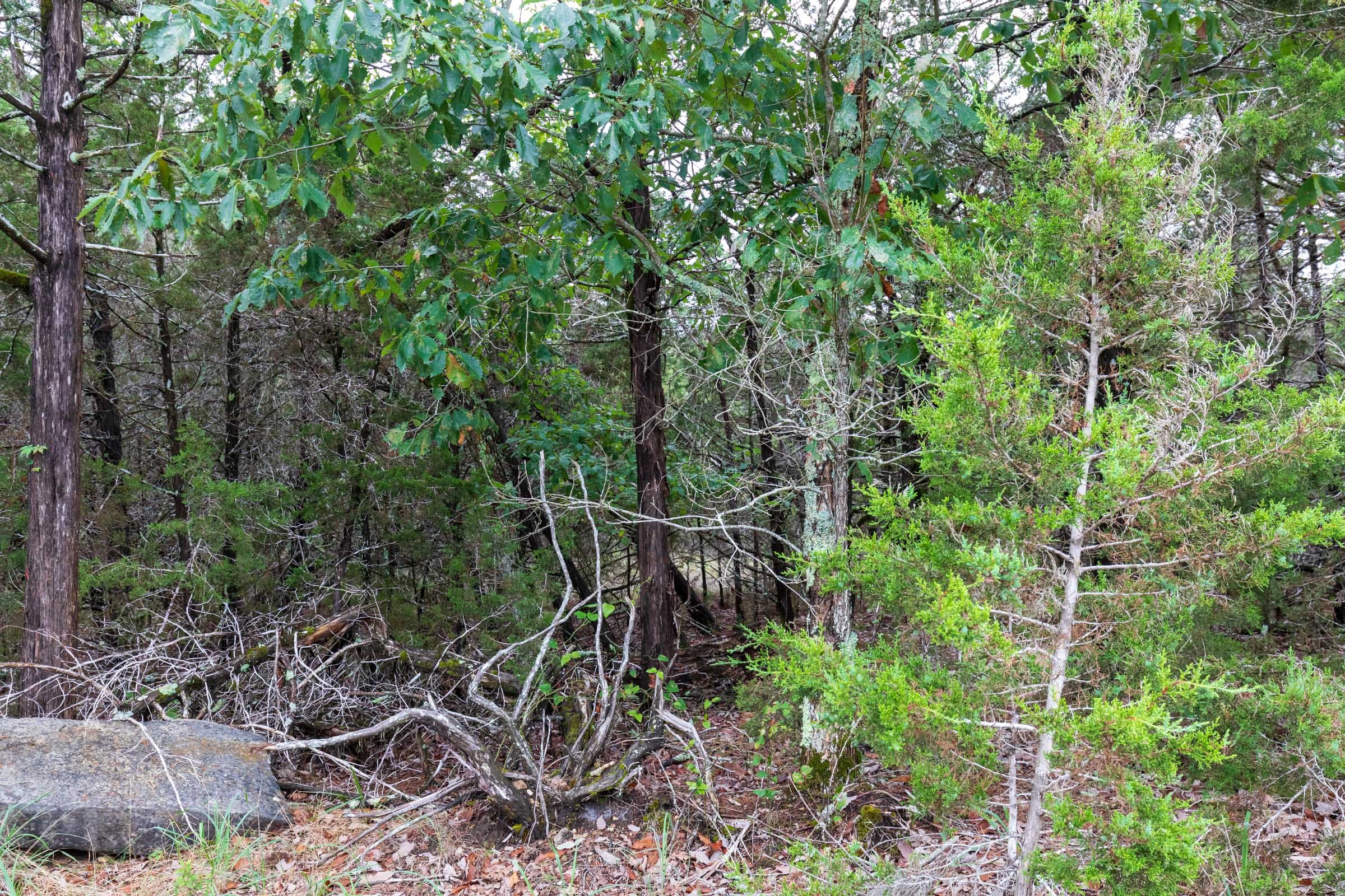Heritage Bend Tract 3 photo 7