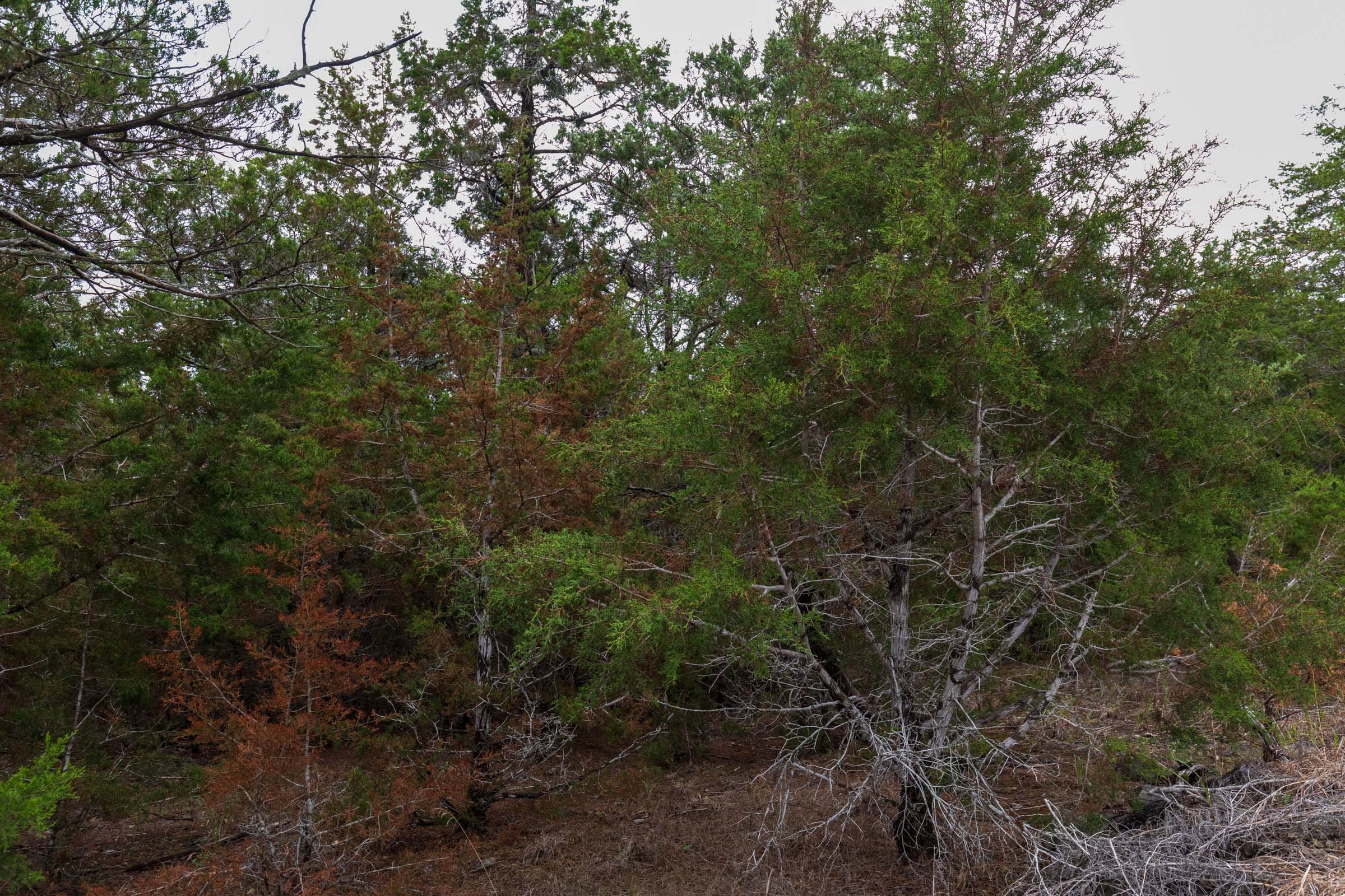 Heritage Bend Tract 3 photo 8