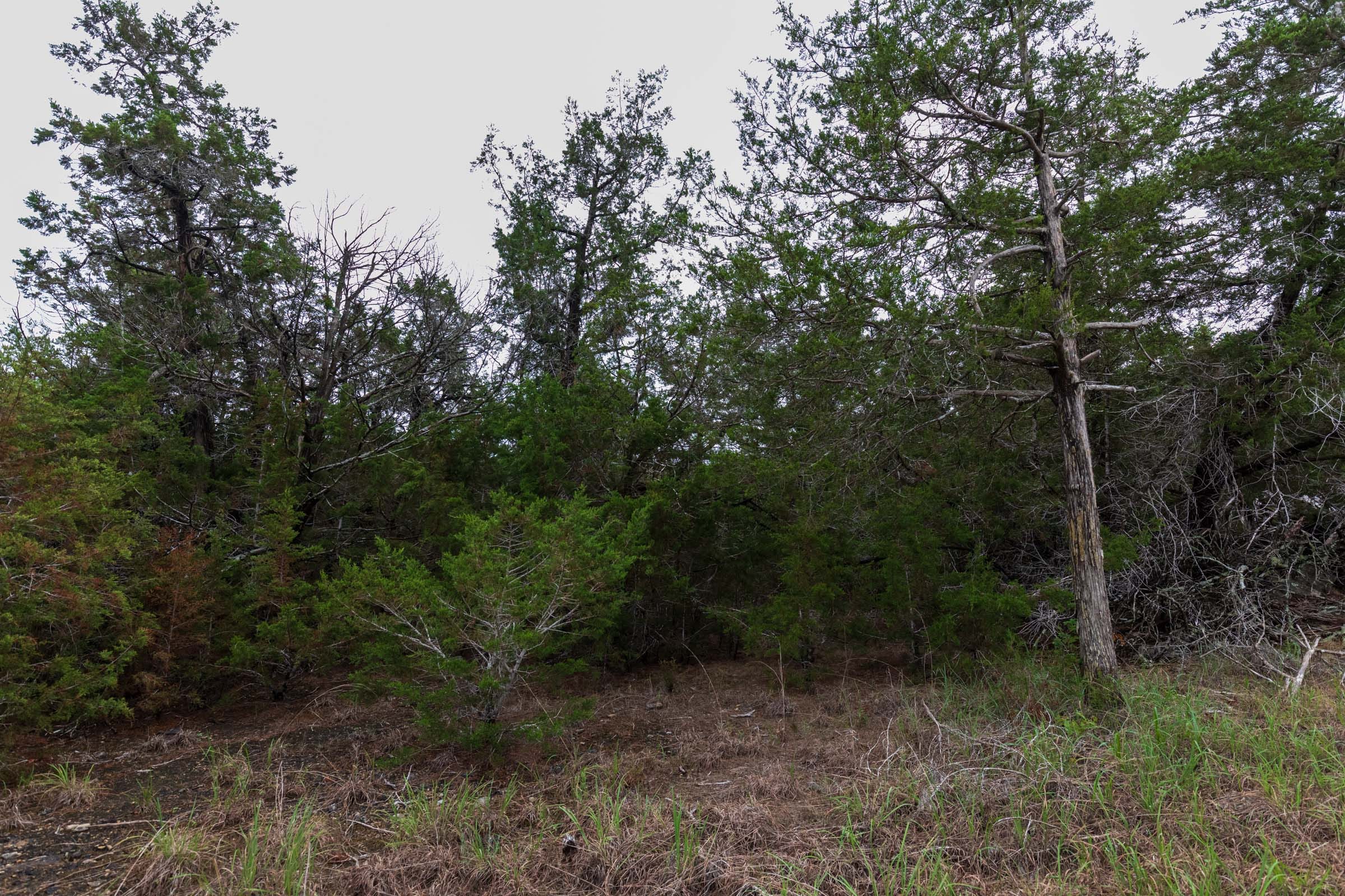 Heritage Bend Tract 3 photo 9