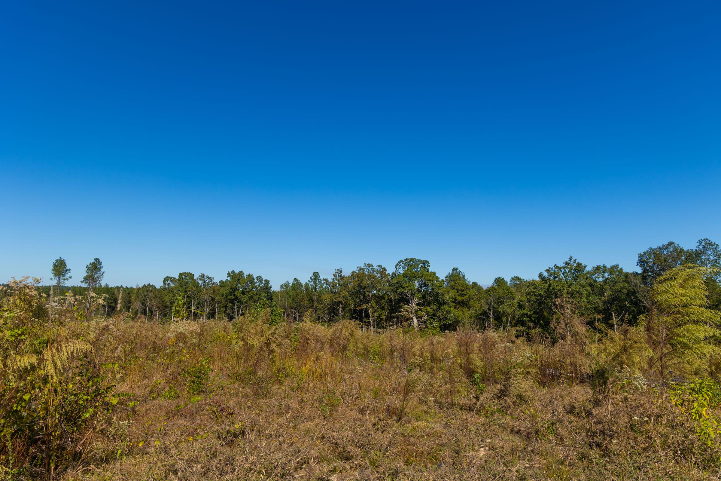 Meyer’s Ridge Tract 29 photo 11