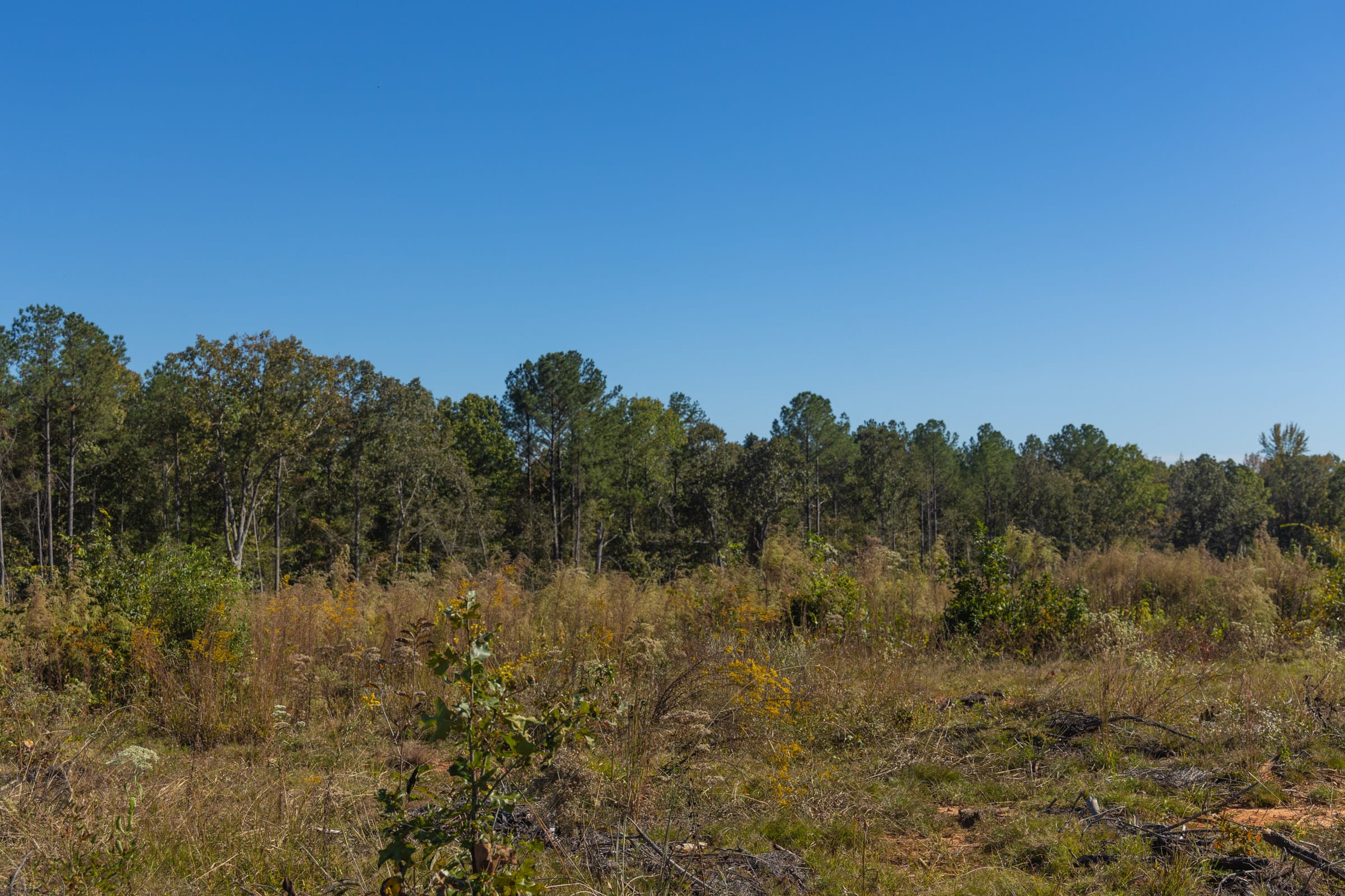 Meyer’s Ridge Tract 29 photo 10