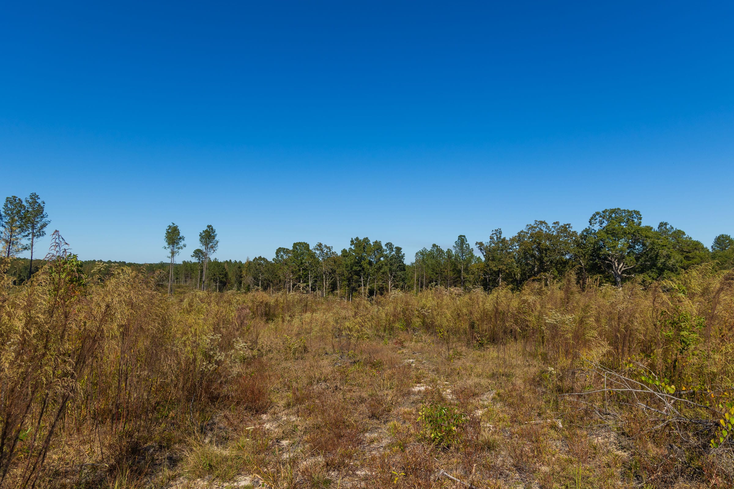 Meyer’s Ridge Tract 29 photo 9