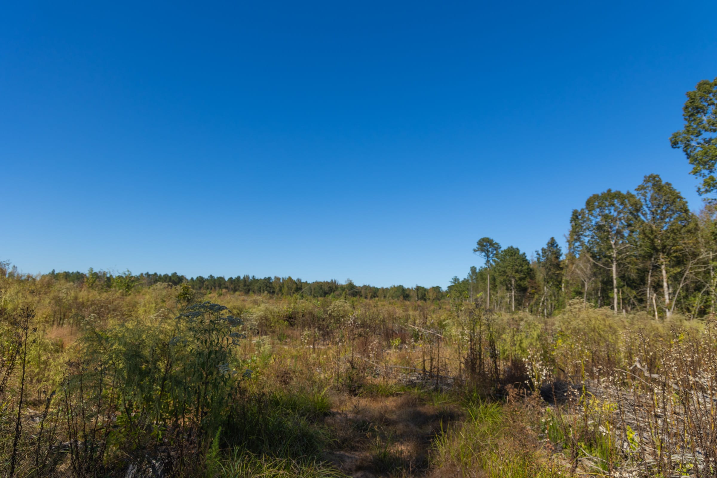 Meyer’s Ridge Tract 29 photo 8