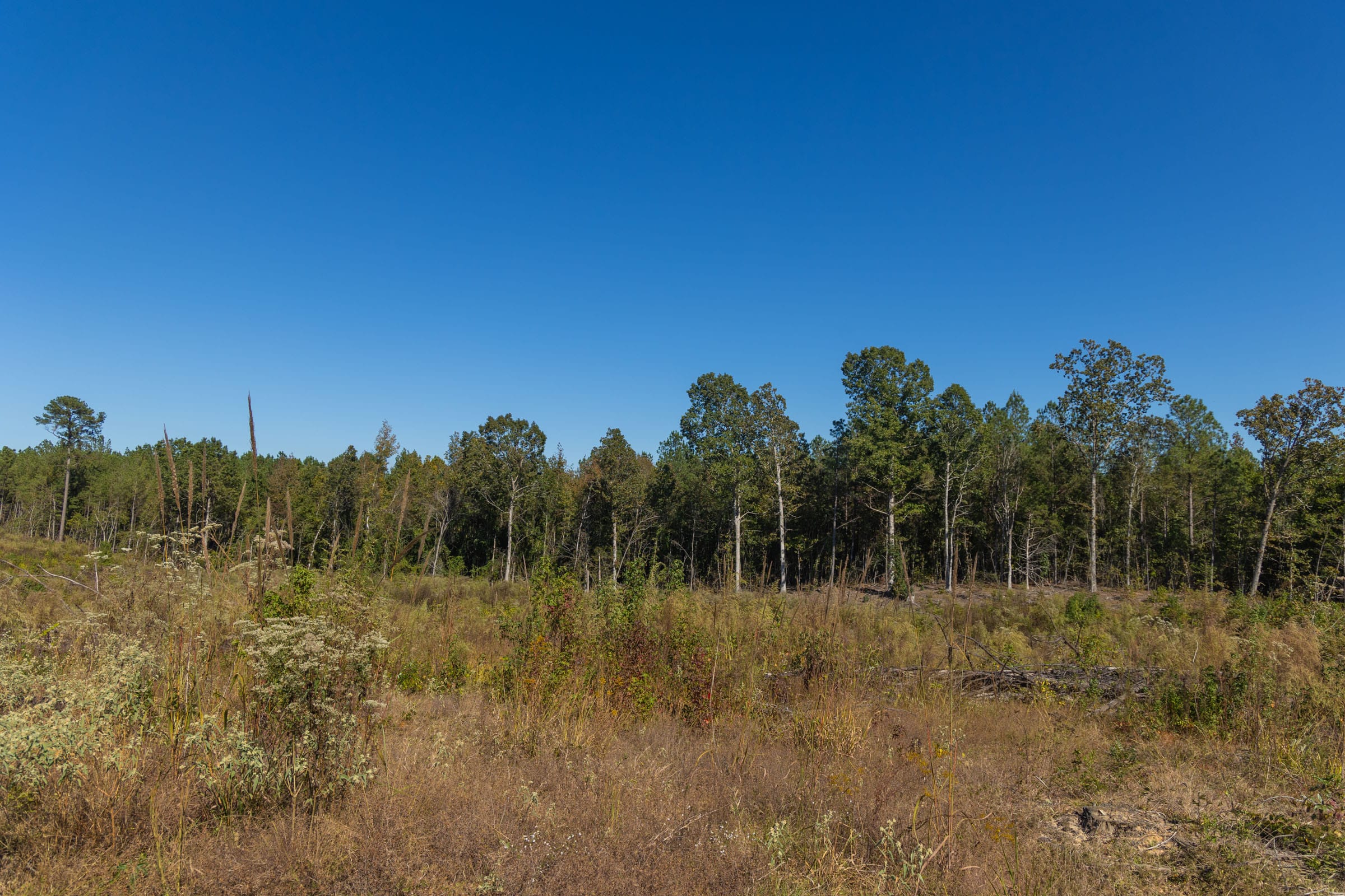 Meyer’s Ridge Tract 29 photo 3