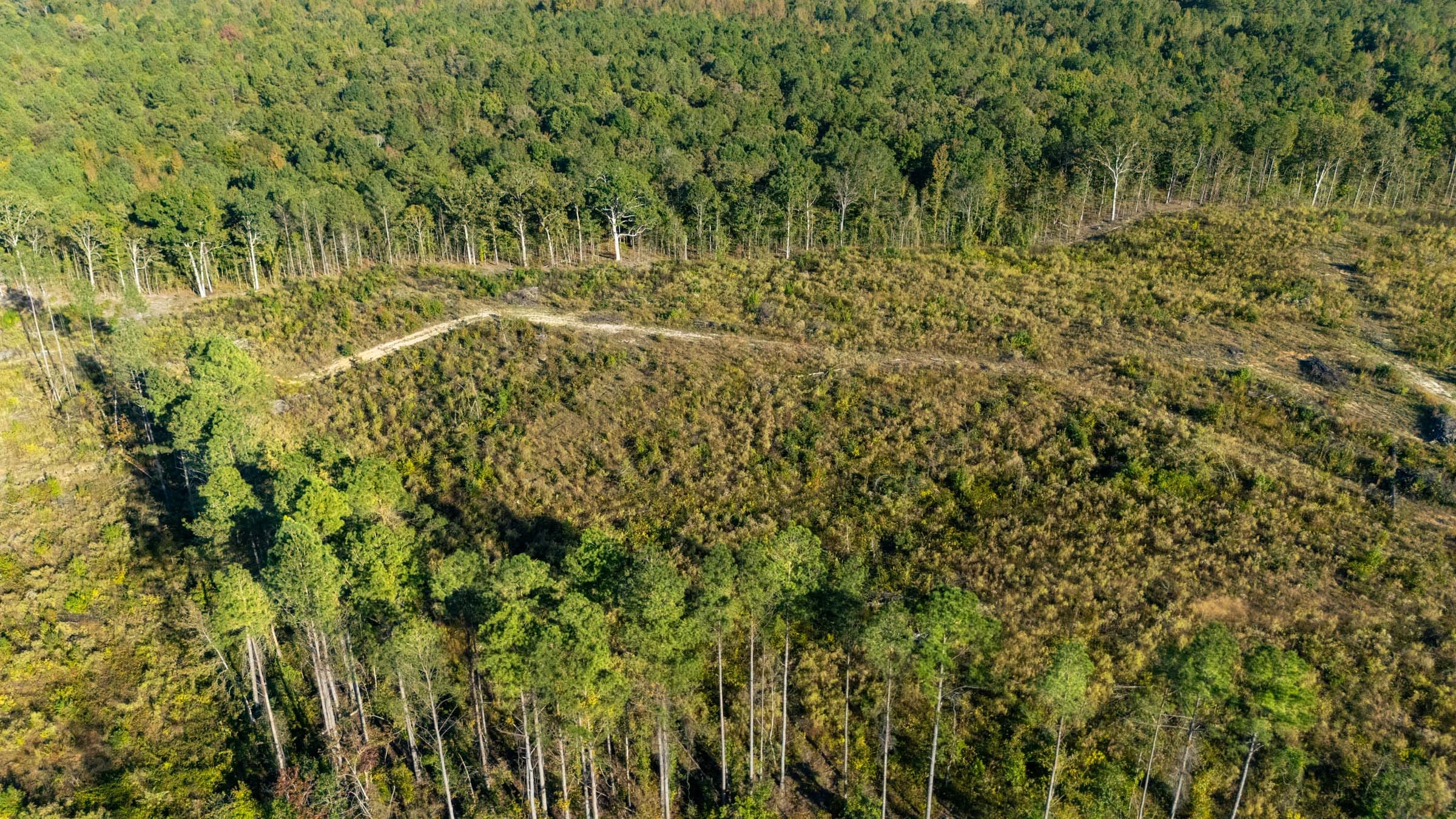 Meyer’s Ridge Tract 29 photo 2