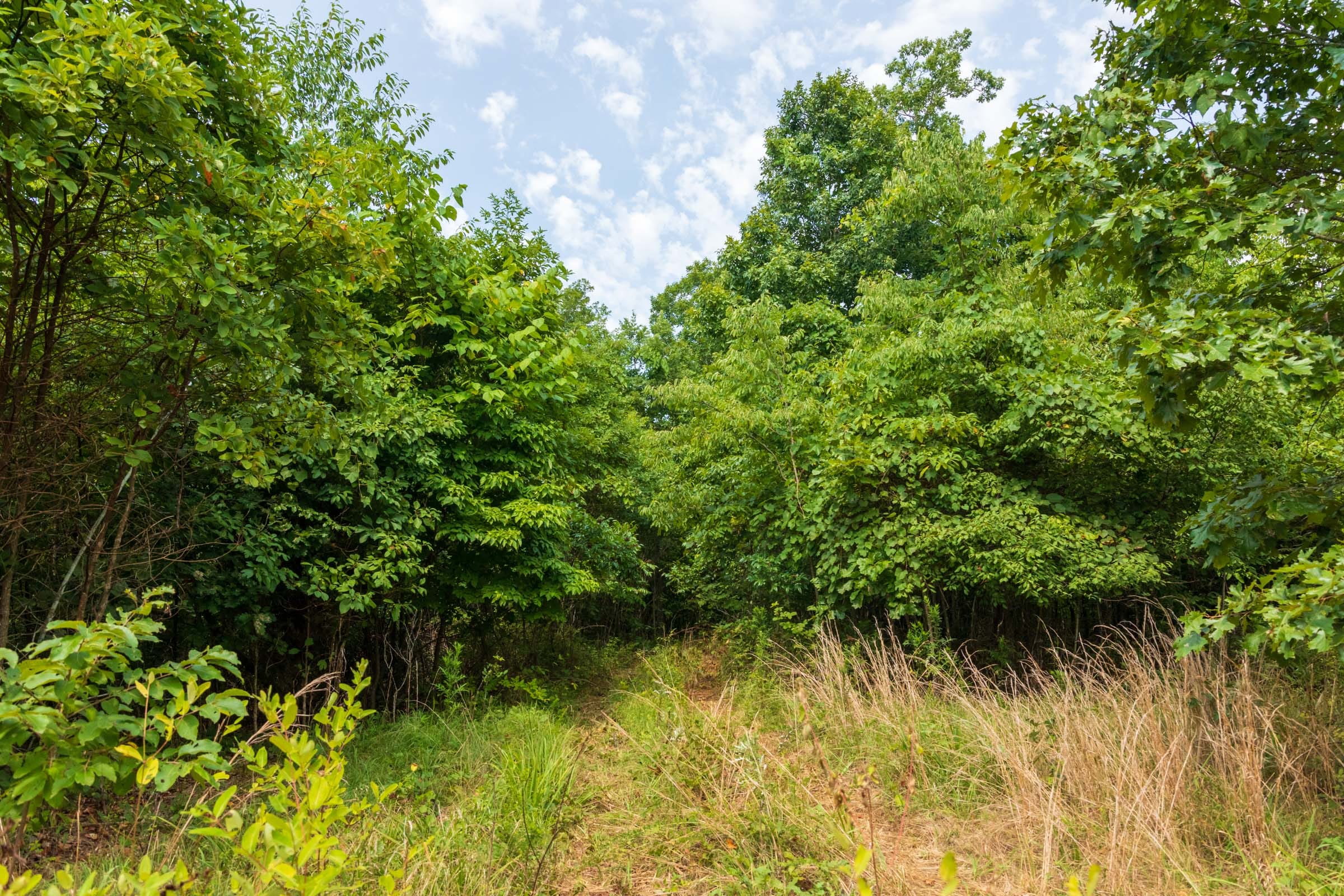 Cypress Ridge Tract 25 photo 2