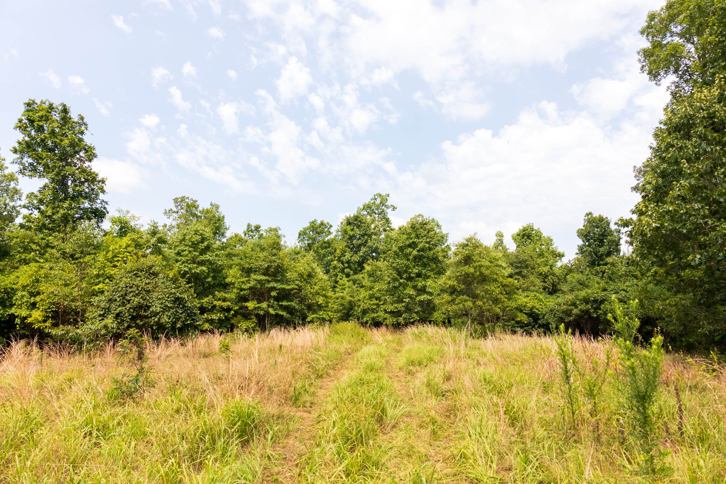 Cypress Ridge Tract 25 photo 6