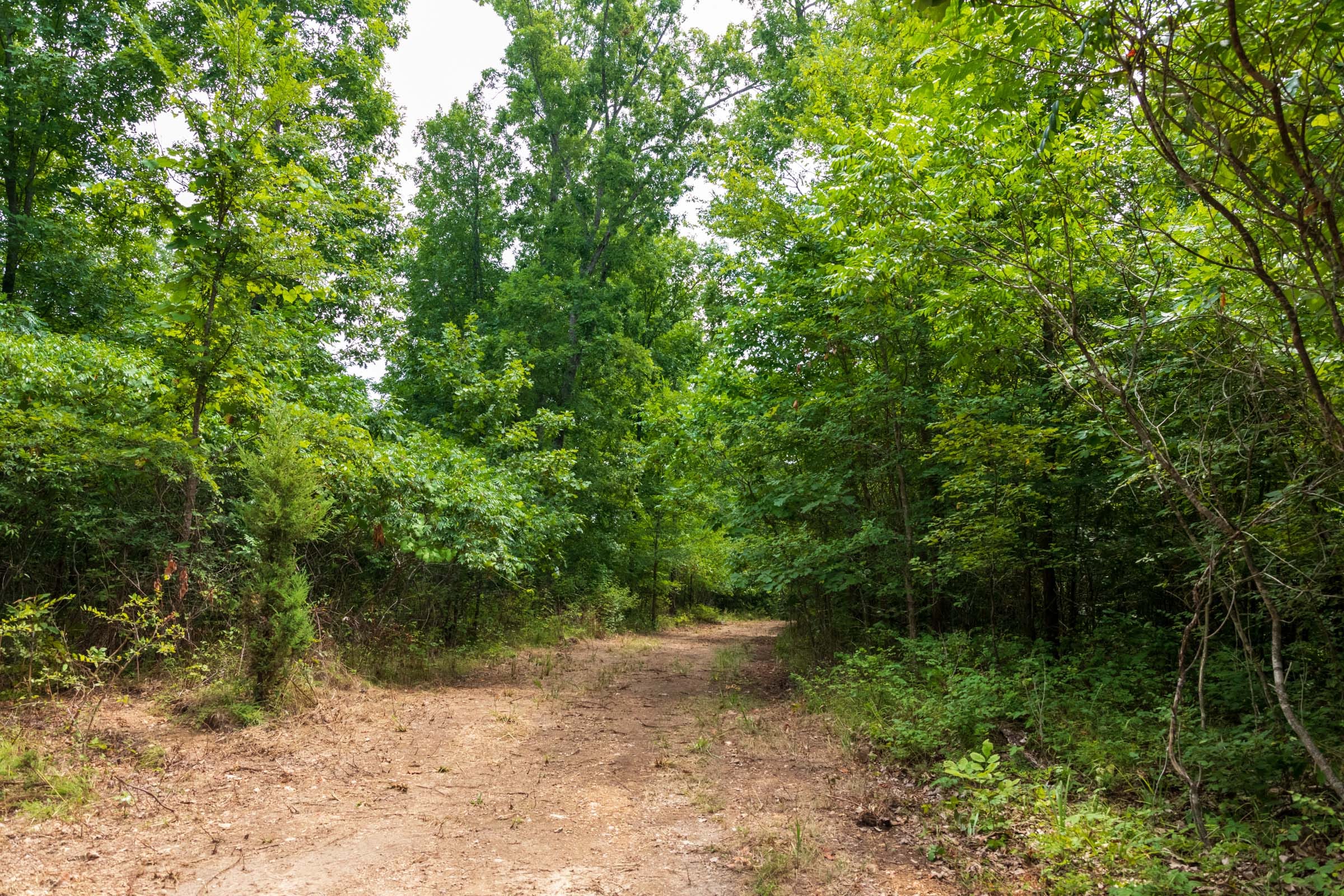 Cypress Ridge Tract 25 photo 1