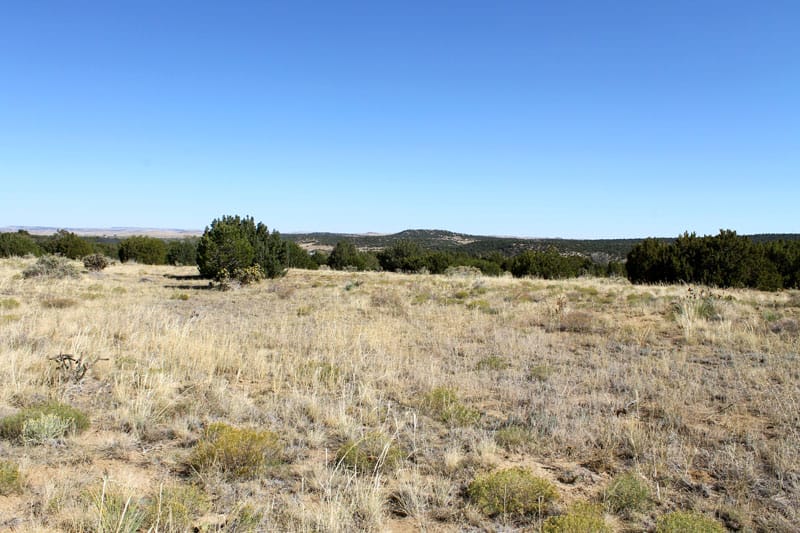 Black Diamond Park Tract 6 photo 1