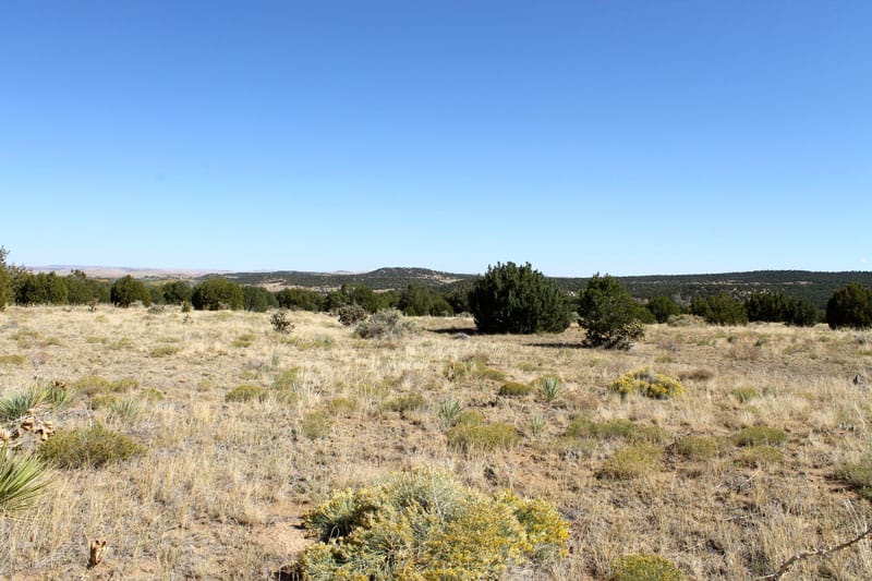 Black Diamond Park Tract 6 photo 8