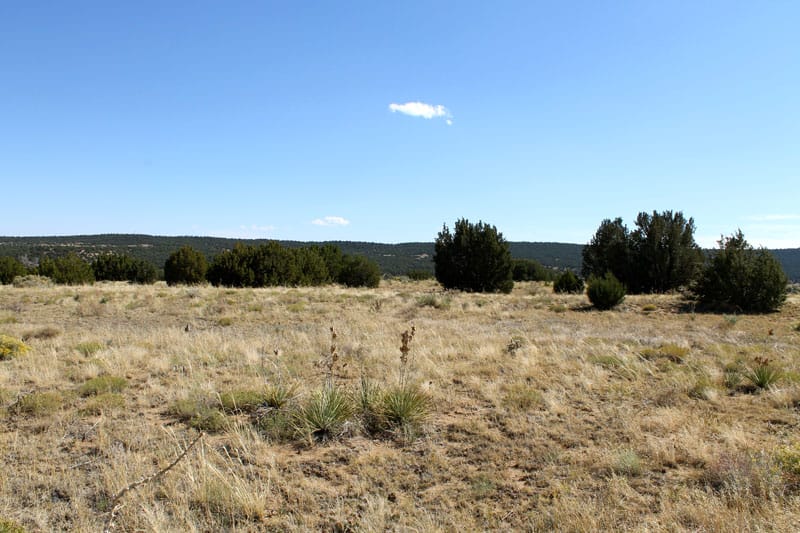 Black Diamond Park Tract 6 photo 9