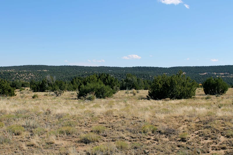 Black Diamond Park Tract 6 photo 12