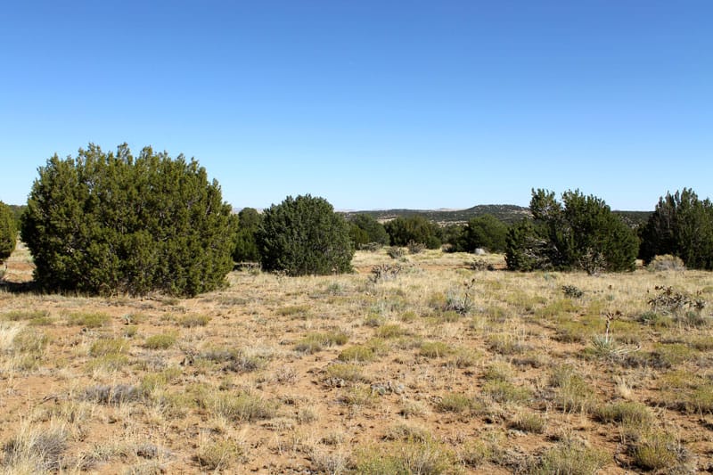 Black Diamond Park Tract 6 photo 14