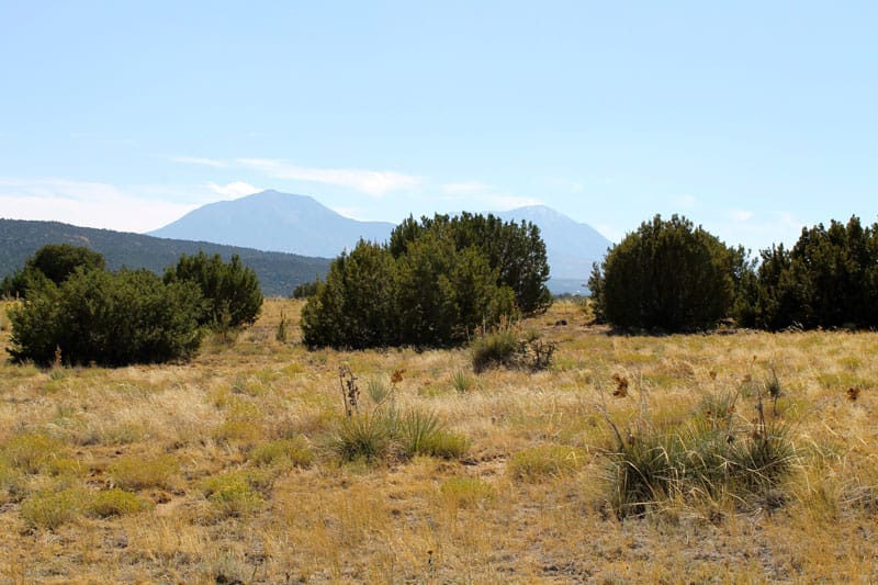 Black Diamond Park Tract 6 photo 16