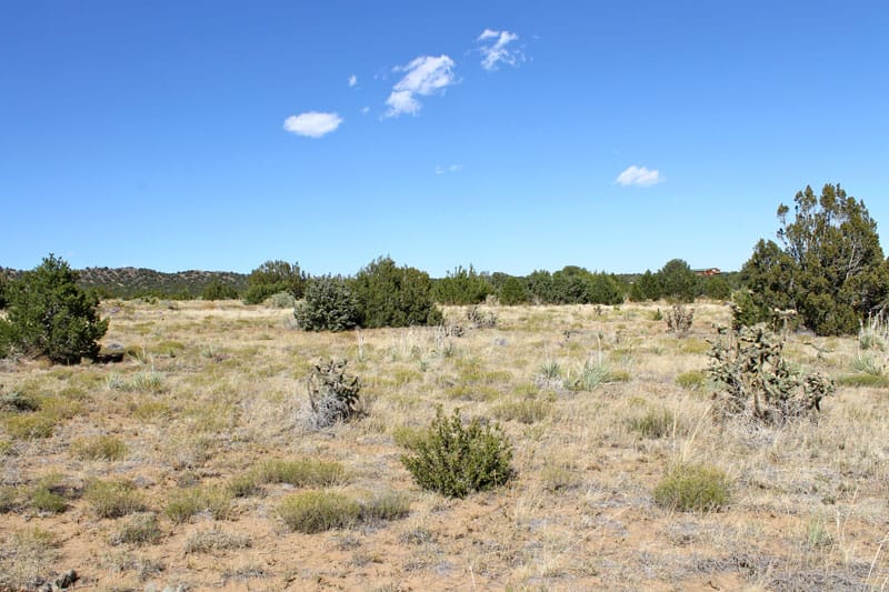 Black Diamond Park Tract 6 photo 18