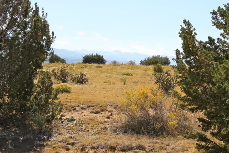 Black Diamond Park Tract 6 photo 20
