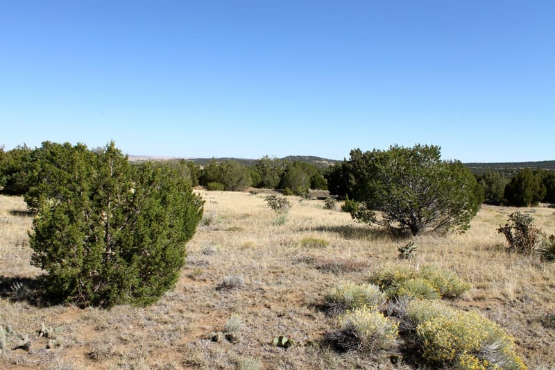 Black Diamond Park Tract 6 photo 21