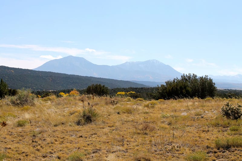 Black Diamond Park Tract 6 photo 26
