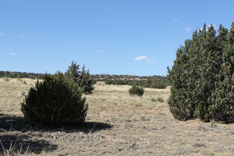 Black Diamond Park Tract 6 photo 28