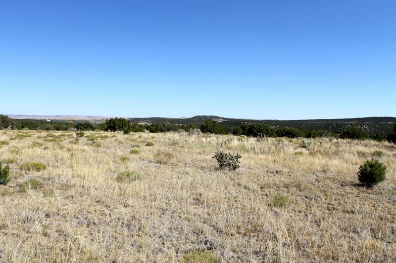 Black Diamond Park Tract 4 photo 2
