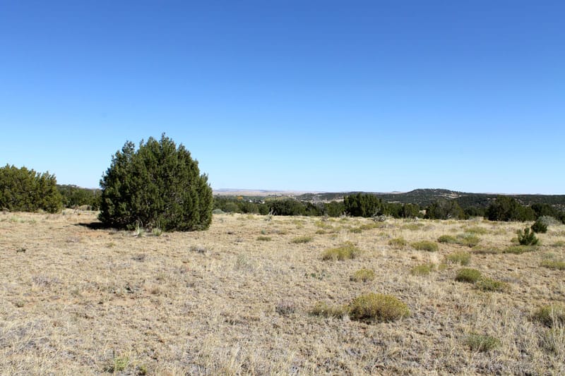 Black Diamond Park Tract 4 photo 7