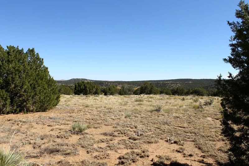 Black Diamond Park Tract 4 photo 10