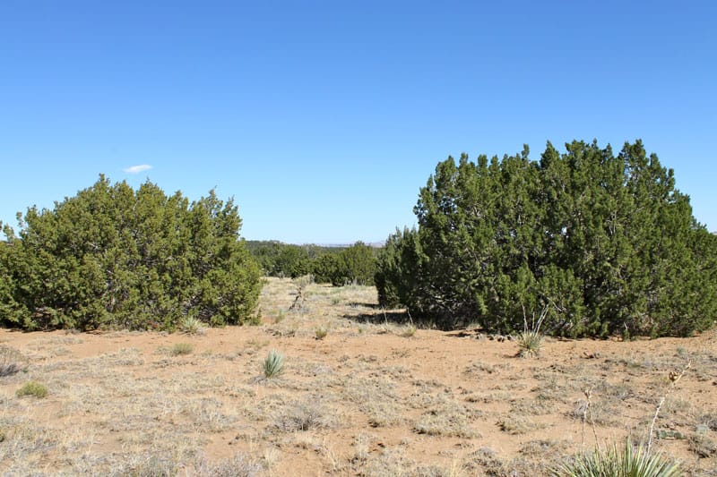 Black Diamond Park Tract 4 photo 12