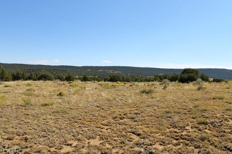 Black Diamond Park Tract 4 photo 14