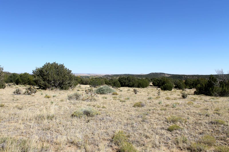 Black Diamond Park Tract 4 photo 17