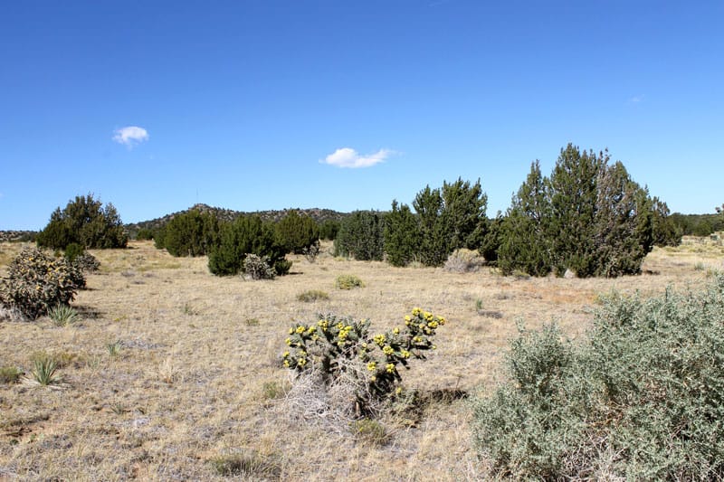 Black Diamond Park Tract 4 photo 20