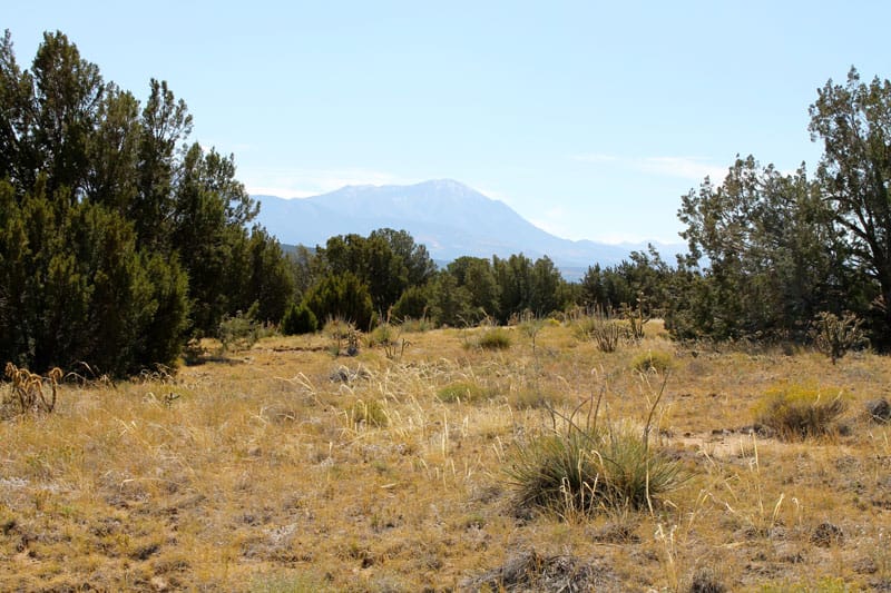 Black Diamond Park Tract 4 photo 21
