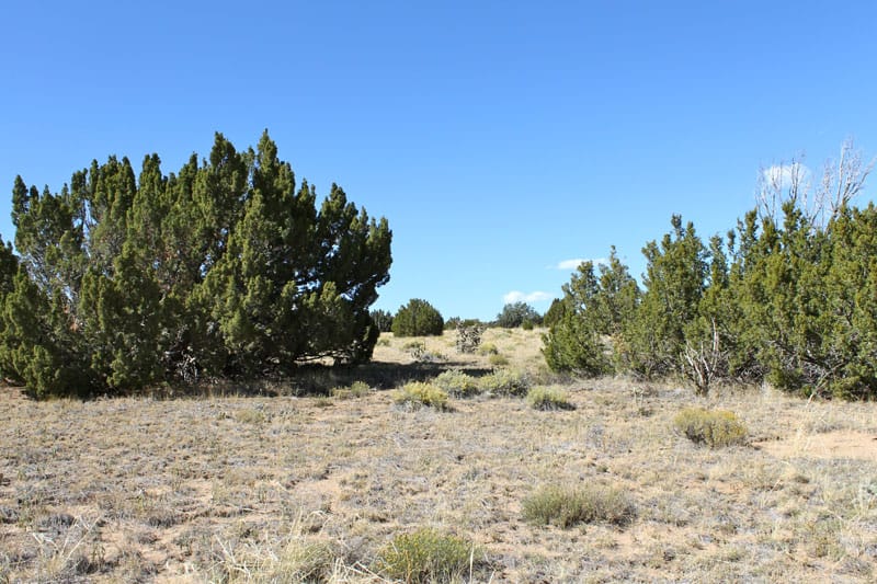 Black Diamond Park Tract 4 photo 24